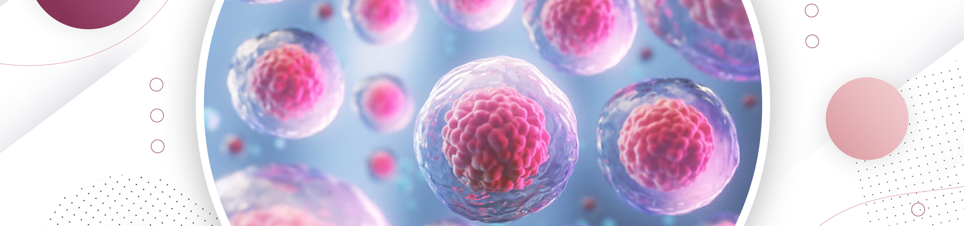 Blastocyst Culture and Transfer