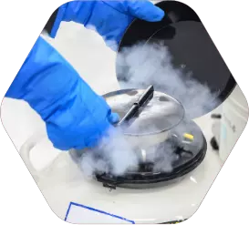 Gametes freezing at IVF hospital
