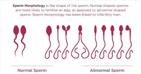  Tips for Choosing the Right Fertility Clinic