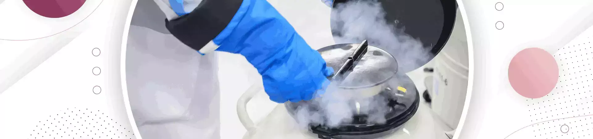 Vitrification Cryopreservation