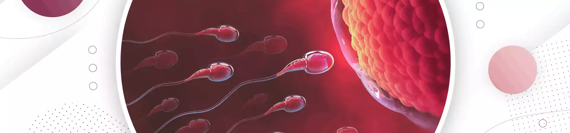 Female Infertility Testing