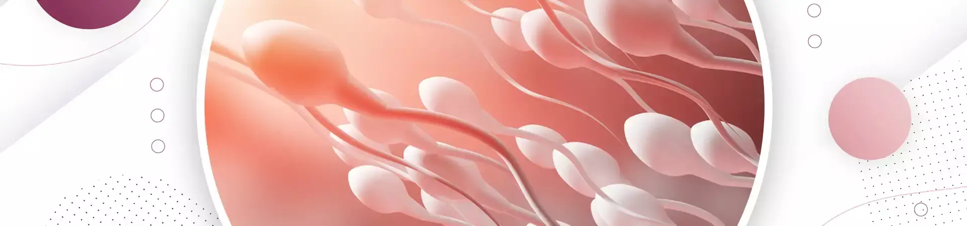 Andrology Treatment