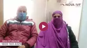 Nova_success_stories