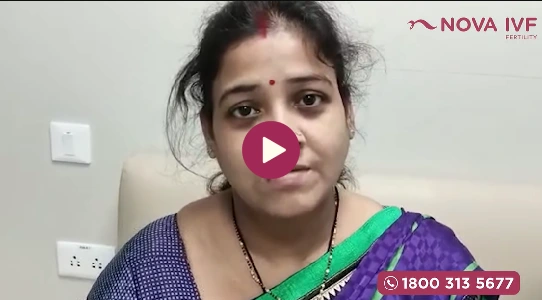 Nova_success_stories