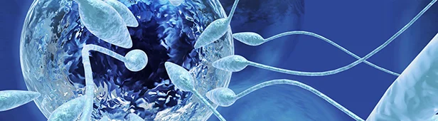 Who can Go for Vitrification Cryopreservation