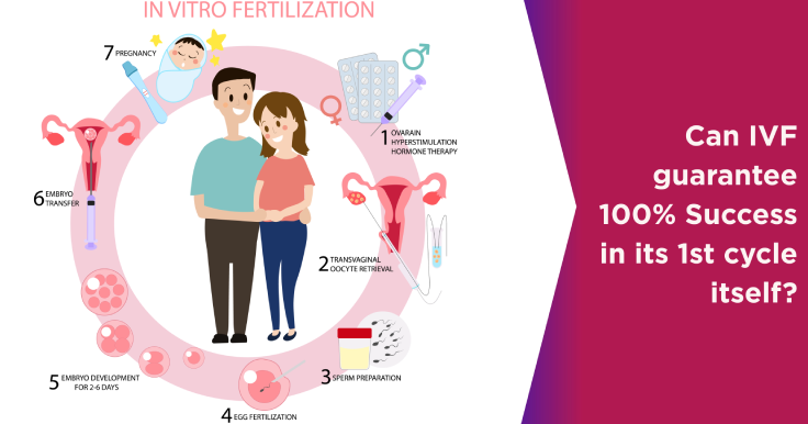  Can IVF Be Successful In First Attempt?