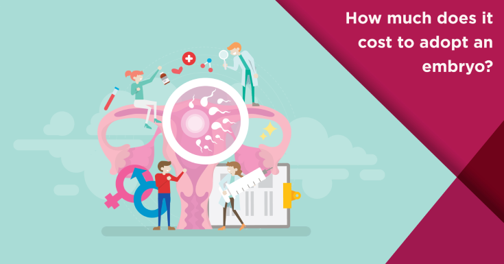  How Much Does It Cost to Adopt an Embryo?