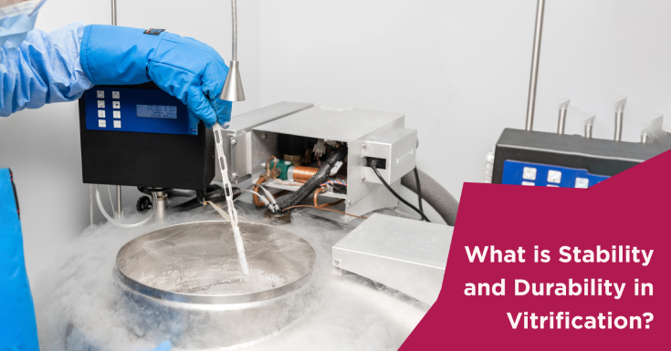  Stability and Durability in Vitrification: What Do They Mean in IVF?