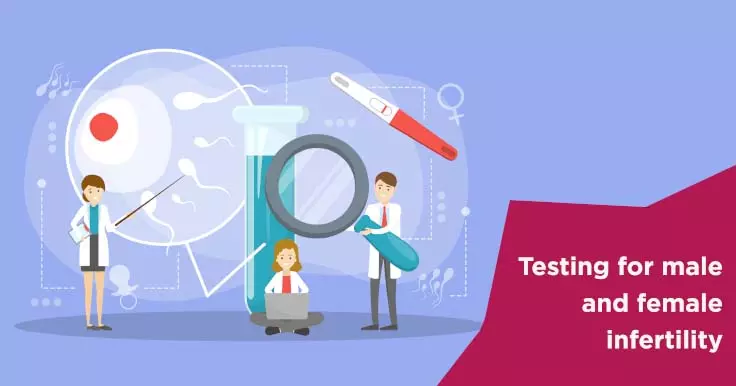  Fertility Test for Male and Female: What to Expect