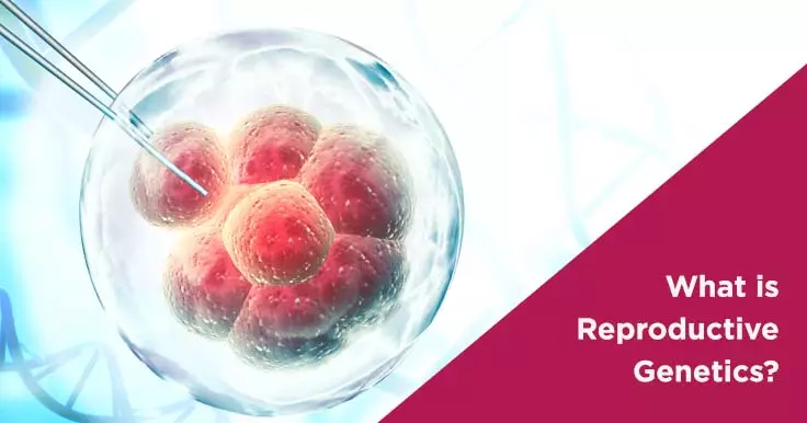  What Is Genetic Testing? Understanding PGD and Genetic Screening