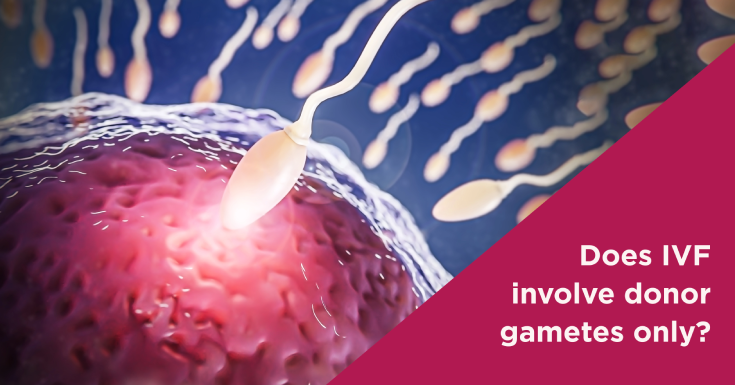  Does IVF Only Involve Donor Gametes? Myths and Facts
