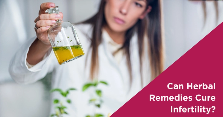  Can Herbal Remedies Cure Infertility? What You Should Know