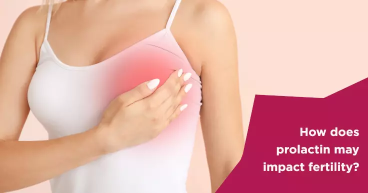 Understanding Prolactin and Its Impact on Fertility and Conception