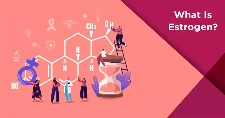  Estrogen in Women: Functions and Impact