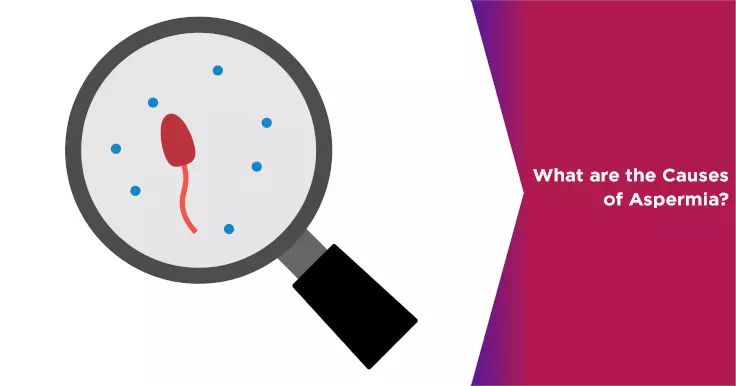  Causes of Aspermia: Exploring the Factors Behind No Ejaculation