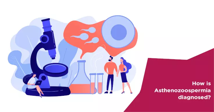  How Is Asthenozoospermia Diagnosed? Testing for Sperm Motility Issues