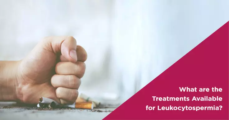  Treatment for Leukocytospermia: How to Improve Sperm Health