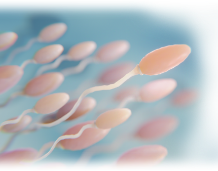 Understanding-Azoospermia
