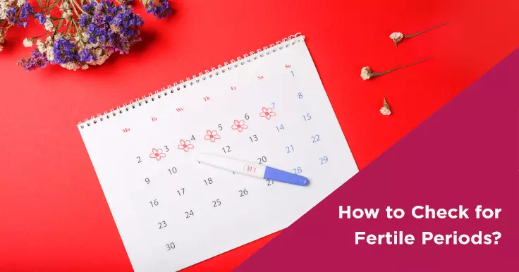  How to Check Your Fertile Periods: A Complete Guide