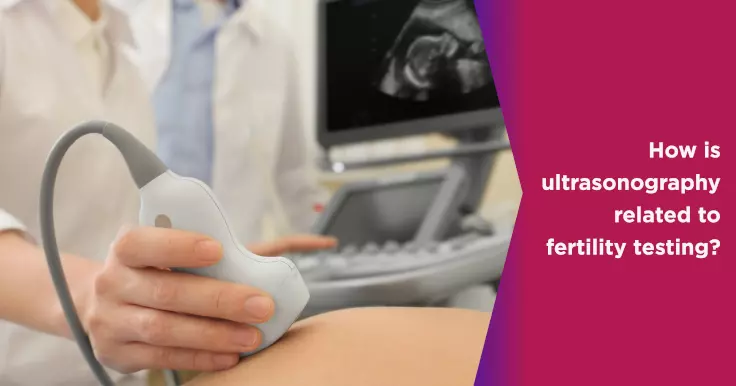  The Role of Ultrasonography in Fertility Testing