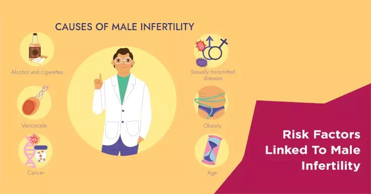  Risk Factors Of Male Infertility