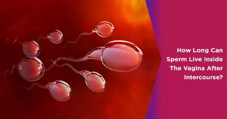 How Long Does Sperm Live Inside the Uterus?