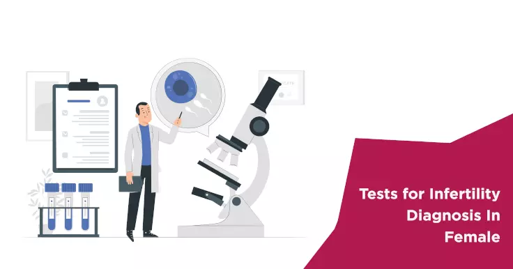  Essential Infertility Tests for Female Diagnosis