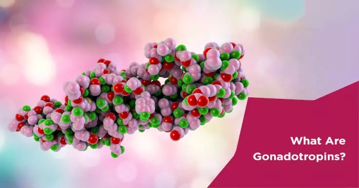  Gonadotropins: Understanding Their Role in Fertility Treatment