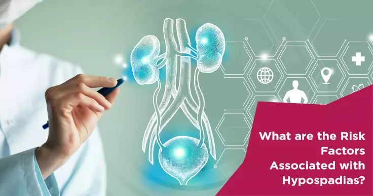  What are the Hypospadias Risk Factors?