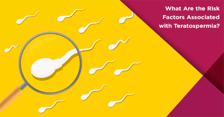  Teratospermia Risk Factors: Causes of Abnormal Sperm Shape
