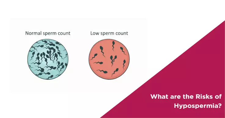  Hypospermia Risks: Factors Affecting Low Semen Volume