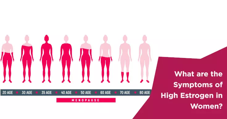  High Estrogen Symptoms in Women: How It Affects Fertility