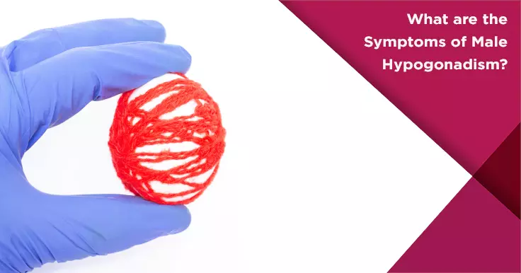  Male Hypogonadism Symptoms and Its Effect on Fertility