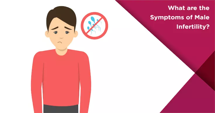  Male Infertility Symptoms: Key Indicators and What to Watch For