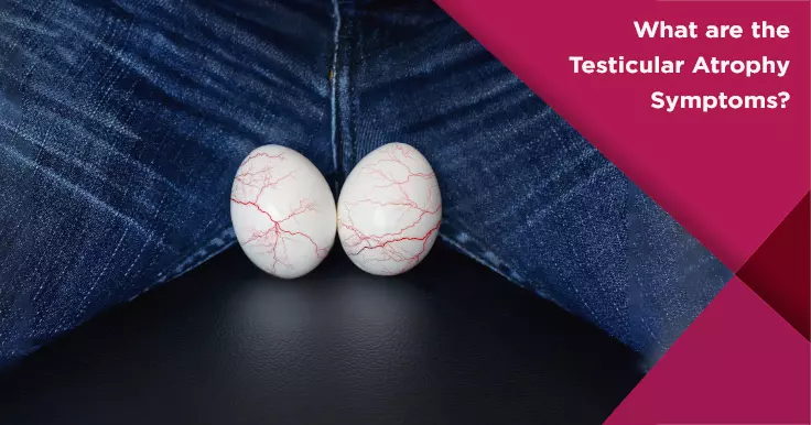  Testicular Atrophy Symptoms: Effects on Fertility