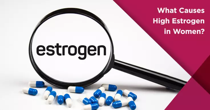 Understanding High Estrogen in Women Causes