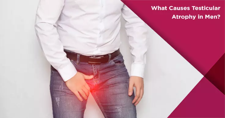 Causes of Testicular Atrophy in Men