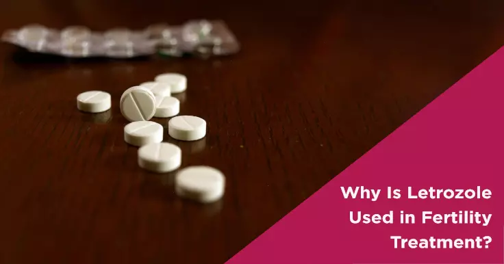  How Letrozole Works in Fertility Treatment? 