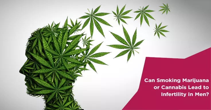  Can Smoking Marijuana Lead to Infertility in Men? Effects on Sperm Health