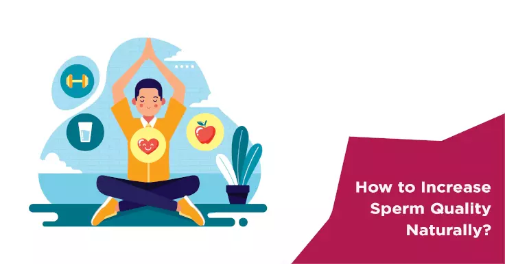  How to Increase Sperm Quality Naturally: Tips for Male Fertility