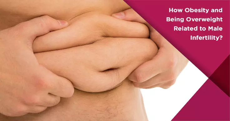  How Obesity and Being Overweight Affect Male Infertility?