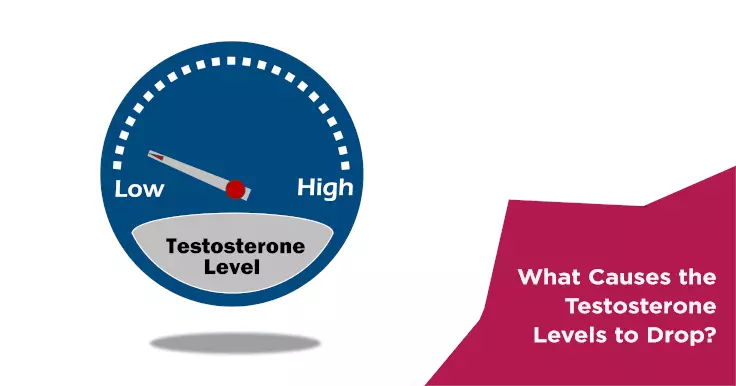  Causes of Low Testosterone in Men