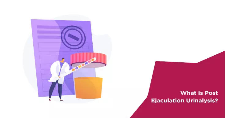  Post-Ejaculation Urinalysis: A Diagnostic Tool for Male Fertility Issues