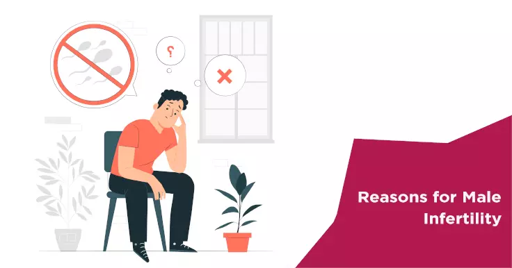  Understanding the Key Reasons for Male Infertility