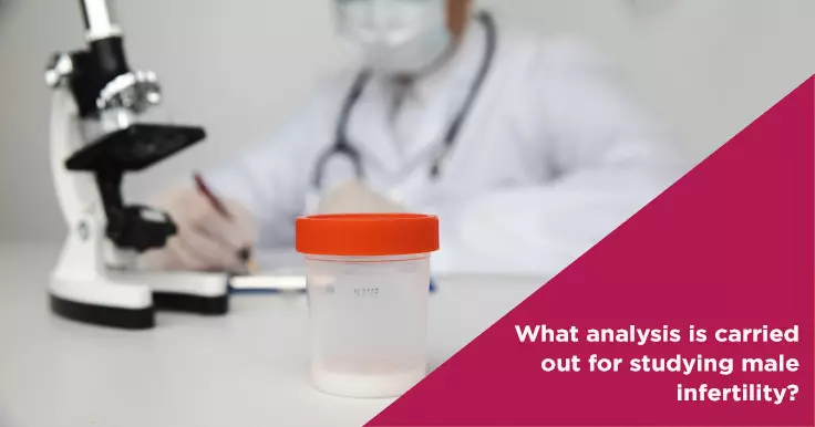 Key Analysis for Studying Male Infertility: Tests and Diagnostics