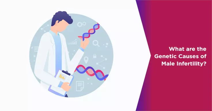  Genetic Causes of Male Infertility: What You Need to Know