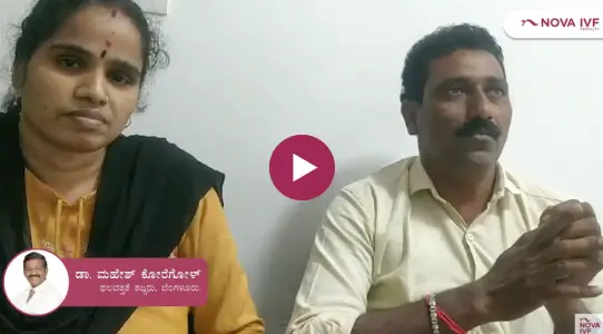 Nova_success_stories