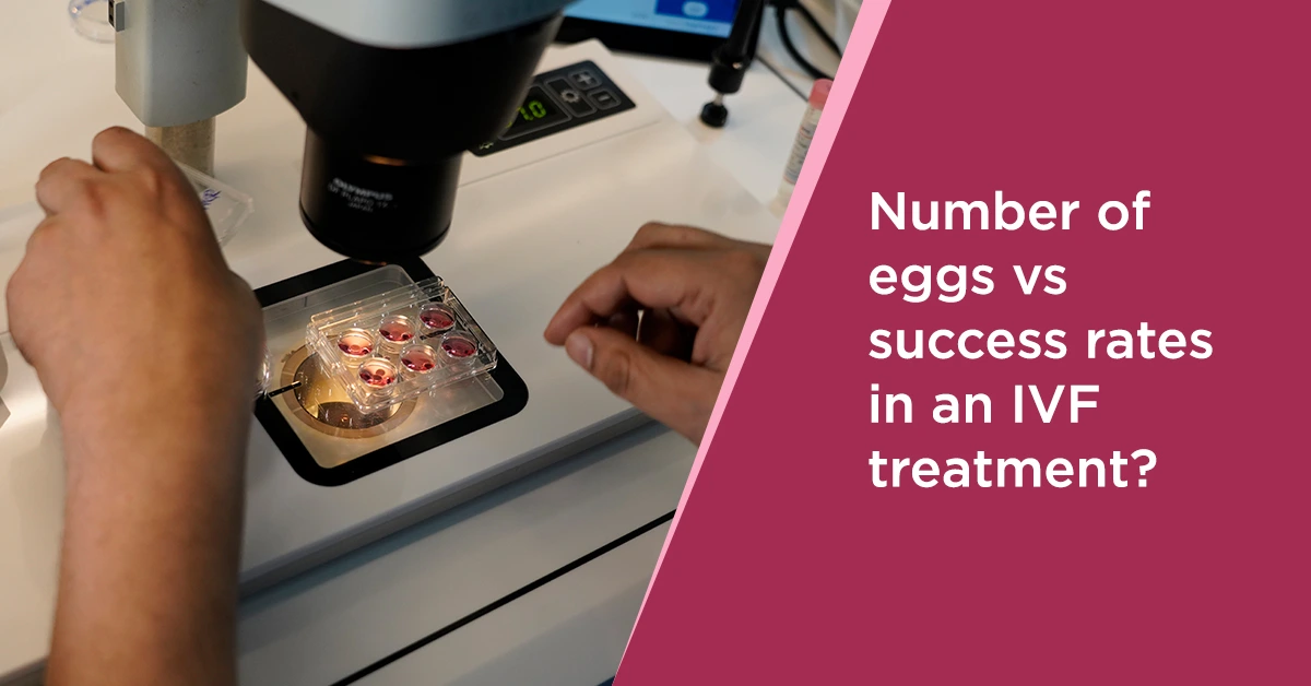 10 Number of eggs vs success rates in an IVF treatment