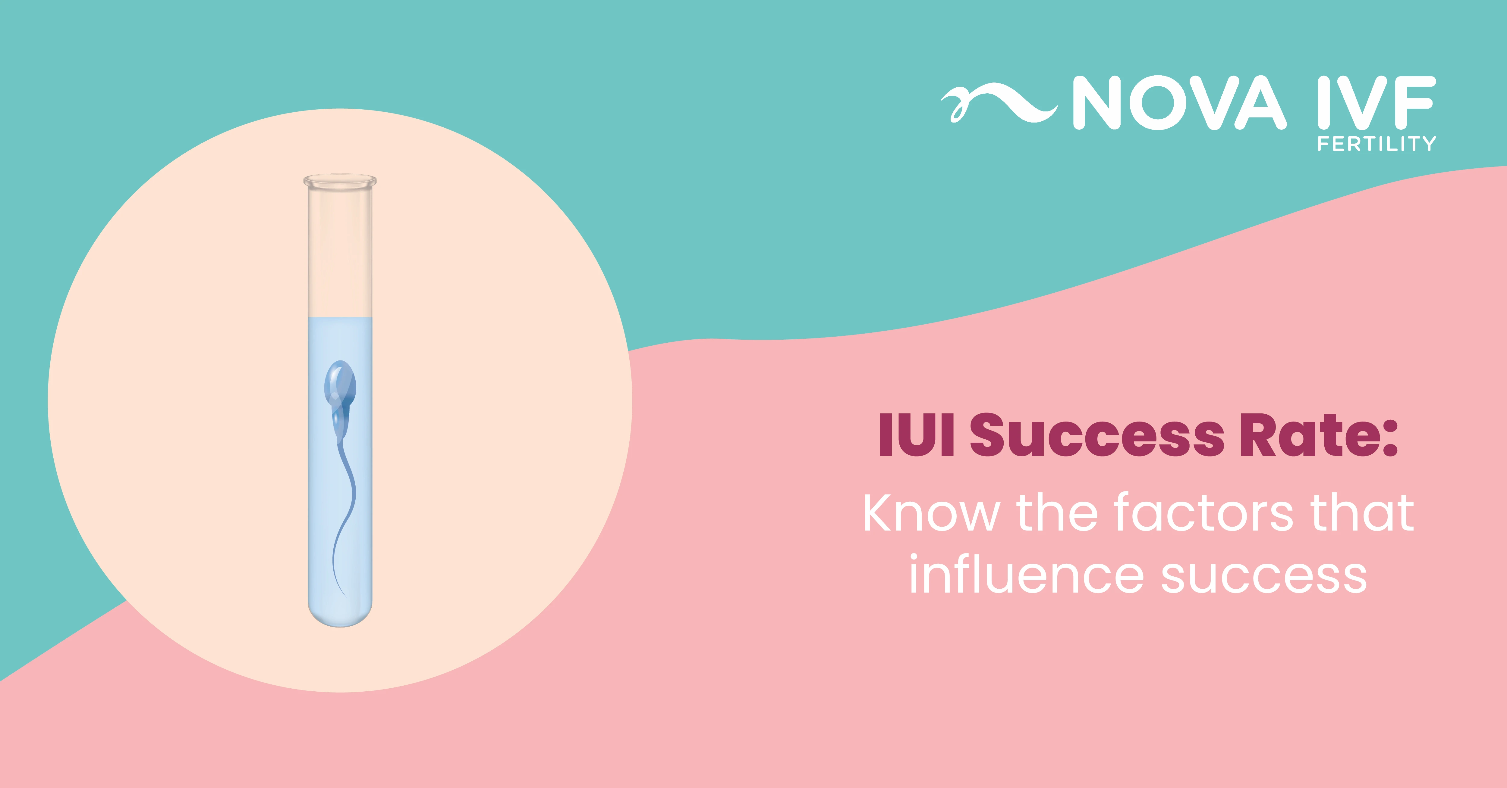  IUI Success Rate - What to Expect After IUI Treatment?