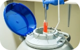 Vitrification Egg,  Embryo, Sperm Freezing